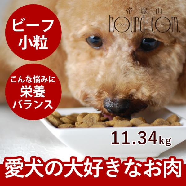 ドッグフード 犬 ドライフード 総合栄養食 単一動物性タンパク 高齢犬 シニア トライプドライ SA...