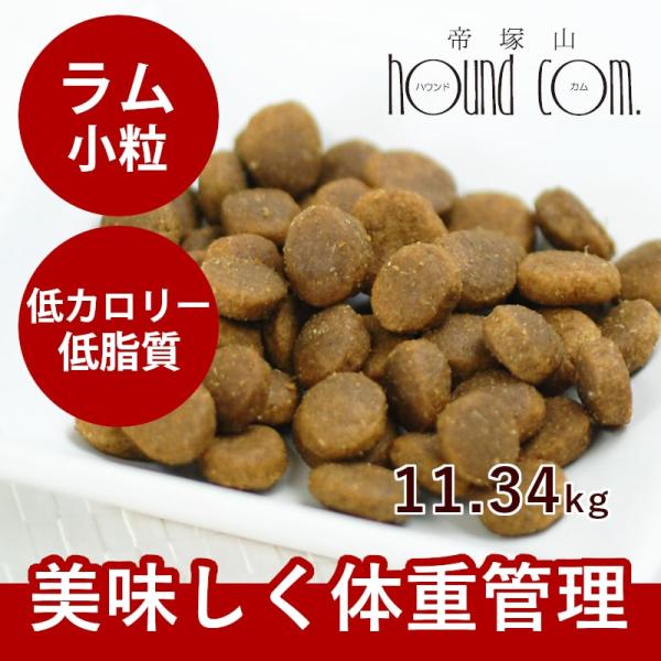 送料無料＆おまけ付き ドッグフード 総合栄養食 高齢犬 トライプドライ ウェイトマネージメント SA...