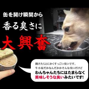 犬用 缶詰 PURE グリーントライプ 185...の詳細画像1