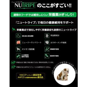 犬用 缶詰 PURE グリーントライプ 185...の詳細画像2