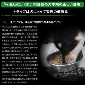 犬用 缶詰 PURE グリーントライプ 185...の詳細画像3