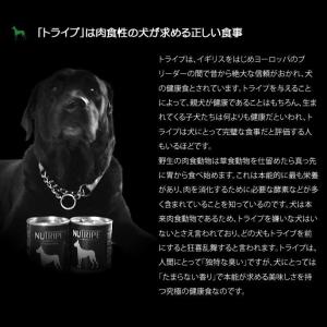 犬用 缶詰 PURE グリーントライプ 185...の詳細画像4