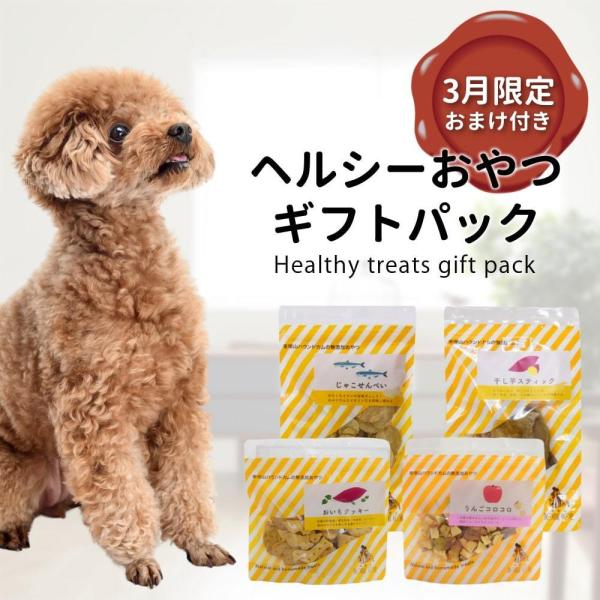 3月限定 ヘルシーおやつギフトパック