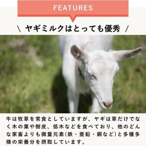 犬 猫 ペット 老犬 シニア犬 太り気味な子に...の詳細画像1