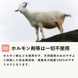 犬 猫 ペット 老犬 シニア犬 太り気味な子に...の詳細画像5