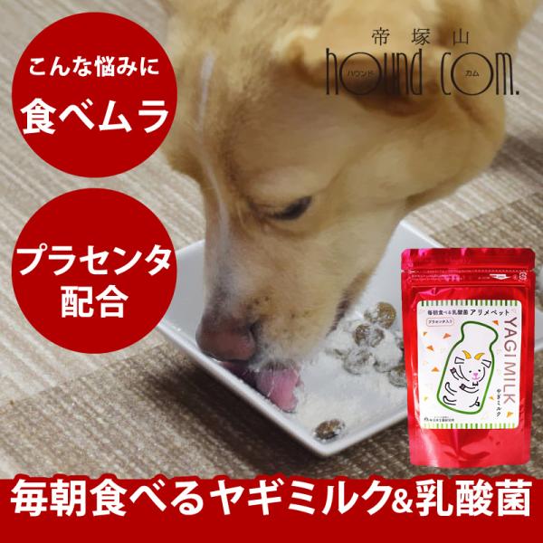 毎朝食べるヤギミルク＆乳酸菌 プラセンタ入り