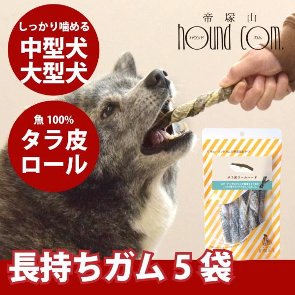 中型犬 大型犬 ガム 長持ち タラ皮ロールハード 5本入り 5袋　犬用歯磨きガム
