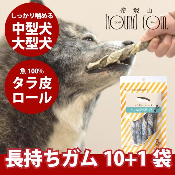中型犬 大型犬 ガム 長持ち タラ皮ロールハード 5本入り 10袋＋1袋　犬用歯磨きガム