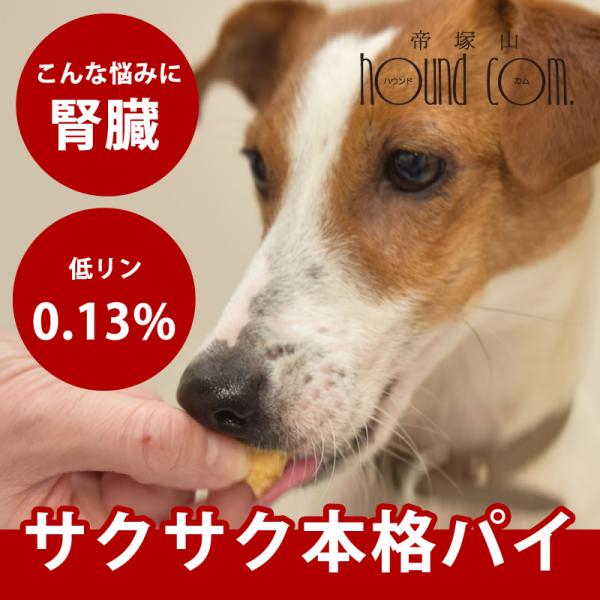 犬 おやつ ちびっこみるくパイ 60g
