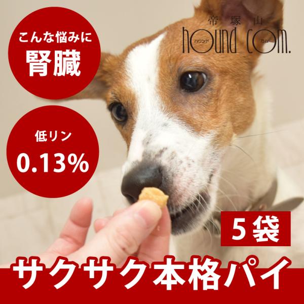 犬 おやつ ちびっこみるくパイ 60g×5袋セット