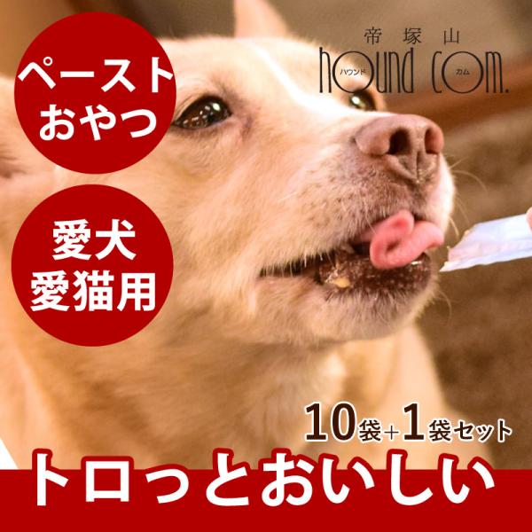 愛犬愛猫用ペースト状のおやつ　旨とろ　チキン　10+1袋セット（10g×132本入）うまとろ
