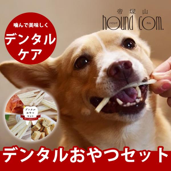 犬 おやつ セット デンタル ジャーキー 骨 乳酸菌 デンタルおやつセット