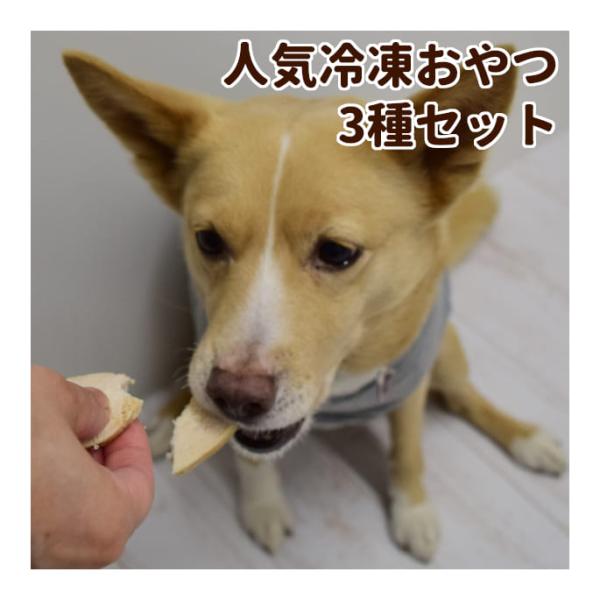 愛犬用 人気冷凍おやつ3種セット【ハウンドカム食堂】