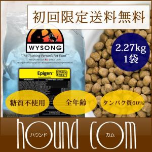 ドッグフード キャットフード 糖質 穀物 不使用 ワイソン エピゲン チキン 2.27kg 初回限定送料無料