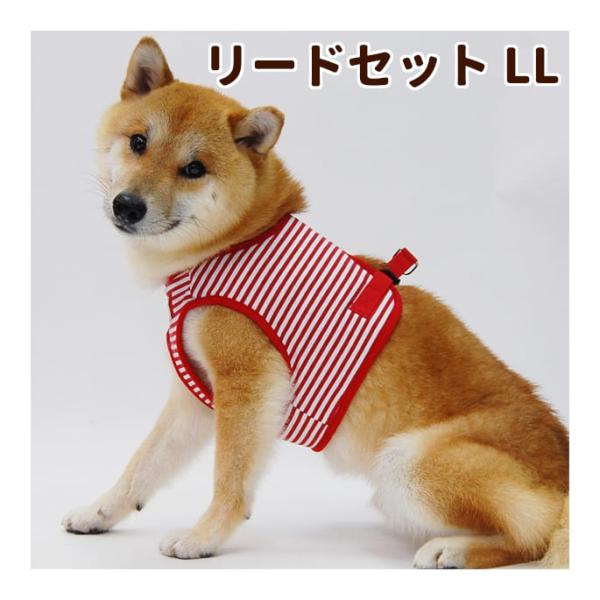 犬 ハーネス ASHU ウェアハーネスボーダー＆リードセット LLサイズ