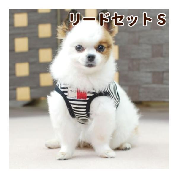 犬 ハーネス ASHU ウェアハーネスボーダー＆リードセット Sサイズ