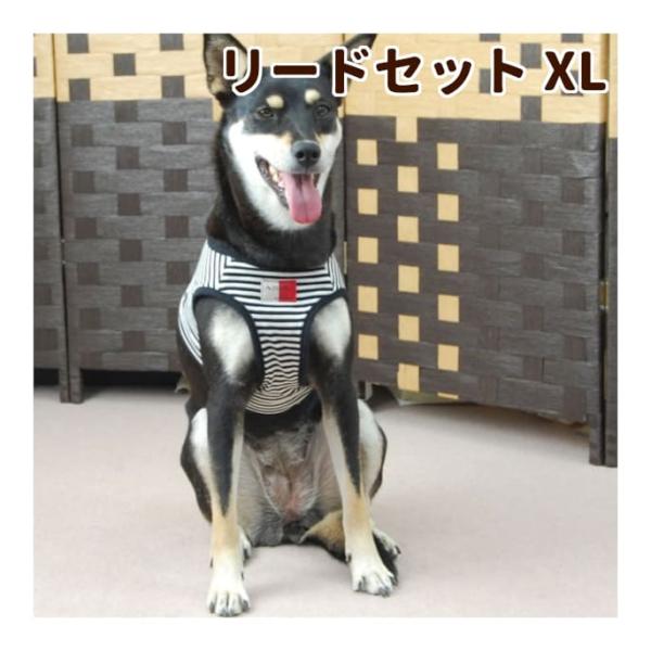 犬 ハーネス ASHU ウェアハーネスボーダー＆リードセット XLサイズ