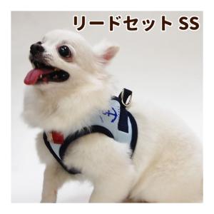 BURBERRY（バーバリー） ドッグリード 8073365 レザー バーバリー