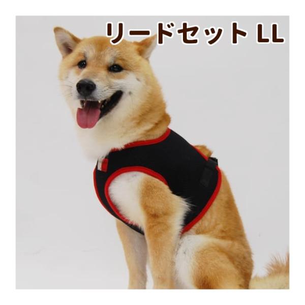 犬 ハーネス ASHUウェアハーネス＆リードセット LLサイズ