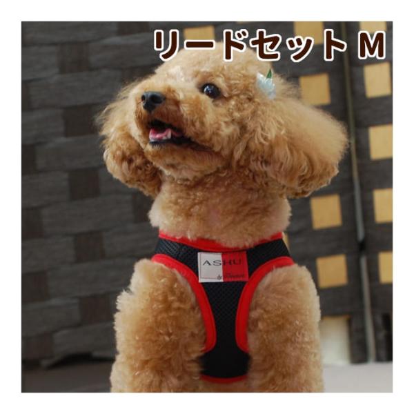 犬 ハーネス ASHUウェアハーネス＆リードセット Mサイズ