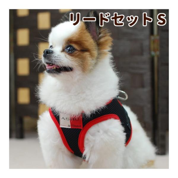 犬 ハーネス ASHUウェアハーネス＆リードセット Sサイズ 犬 リード