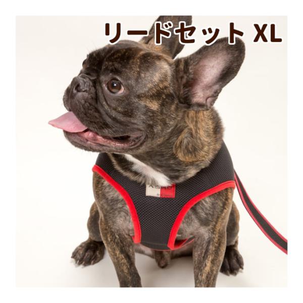 犬 ハーネス ASHUウェアハーネス＆リードセット XLサイズ