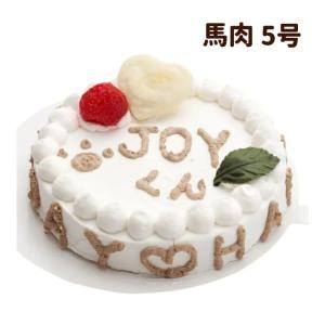 犬 ケーキ Happy Day ケーキ 5号 馬肉 バースデーケーキ 誕生日 ギフト プレゼント｜houndcom