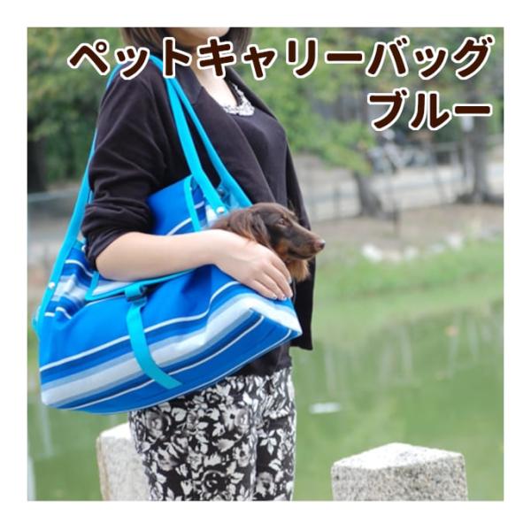 ペットキャリーバッグ ASHU サンブレラキャリー ブルー
