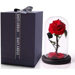 美女と野獣 バラ ガラスケース 花 ガーデニング の商品一覧 通販 Yahoo ショッピング