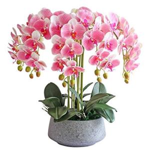 大きな花の飾り インテリア 造花の商品一覧 通販 Yahoo ショッピング