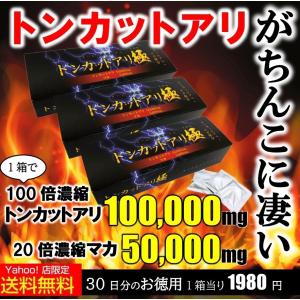 トンカットアリ サプリ 30日分 マカ 亜鉛 ソフォン おすすめ サプリメント 男性 性力 宝力本舗