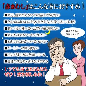 マムシ サプリ 1ヶ月分 赤まむし エゾウコギ...の詳細画像2