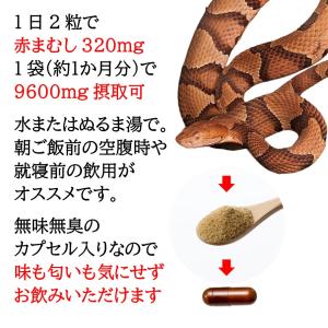マムシ サプリ 1ヶ月分 赤まむし エゾウコギ...の詳細画像4