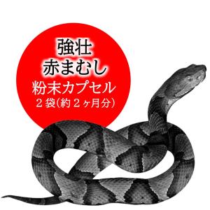 【逸品】ギンギンマムシ　24本入［100ml×12本（3本入り×4箱）×2］ 訳あり フォーデイズ ギンギン マムシ 100ml×3本 FORDAY すっぽん