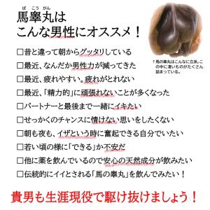 馬睾丸 1ヶ月分 サプリ 馬 プラセンタ シト...の詳細画像2