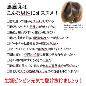 馬睾丸 2ヶ月分 サプリ 馬 プラセンタ シト...の詳細画像2