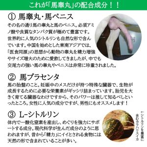 馬睾丸 3ヶ月分 サプリ 馬 プラセンタ シト...の詳細画像3