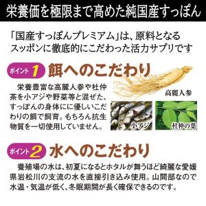 国産すっぽん 1ヶ月分 サプリ サプリメント ...の詳細画像2
