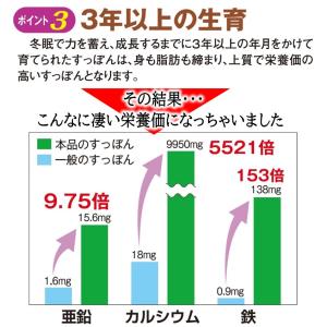 国産すっぽん 1ヶ月分 サプリ サプリメント ...の詳細画像3
