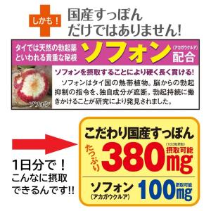 国産すっぽん 1ヶ月分 サプリ サプリメント ...の詳細画像4