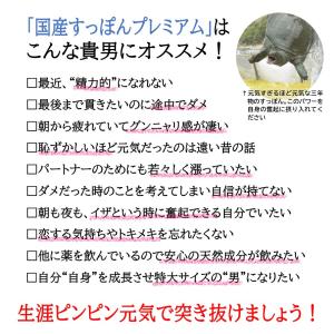 国産すっぽん 1ヶ月分 サプリ サプリメント ...の詳細画像5