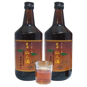 マムシ酒 2本 まむし 酒 マムシ 40度 ストロング 活力 健康 元気 まむし酒 1本