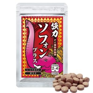 プレミアム酵素漬け 50g 10食分✖️4袋 プレミアム酵素茶漬け 10食分 4袋セット プレミアム酵素茶漬け
