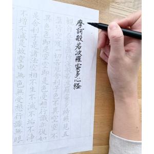 写経スタートセット 10枚 写経用紙なぞり書き 般若心経