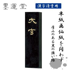 ♡Ea右1004 時代 硯 すずり 中国 端渓硯 南瓜 習字道具 呉竹 ぼくちすずり 4.5平 書道用硯 習字用硯 硯 墨地 両面硯 小学生硯