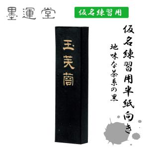 書道筆 天意・式部 大筆小筆セット 広島清雅堂 書道筆セット 太筆細筆