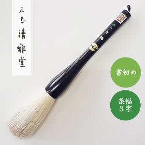 呉竹 ぼくちすずり 4.5平 書道用硯 習字用硯 硯 墨地 両面硯 小学生硯