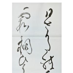 仮名用半切 琴音 半切 条幅 35cm×136...の詳細画像5