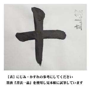 画仙紙半切 条幅紙 立山箋 半切 35cm×1...の詳細画像2