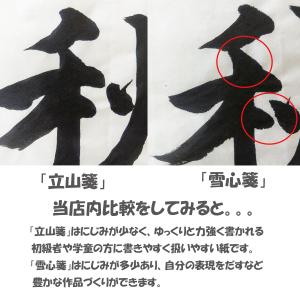 大人気!! 画仙紙半切 立山箋 条幅 半切 3...の詳細画像5